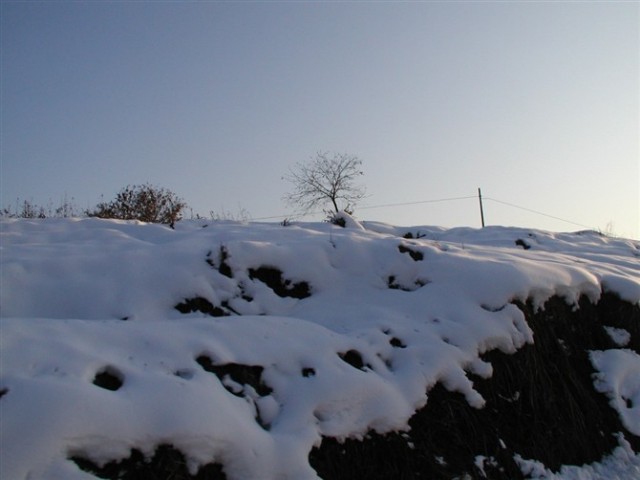 44.jpg