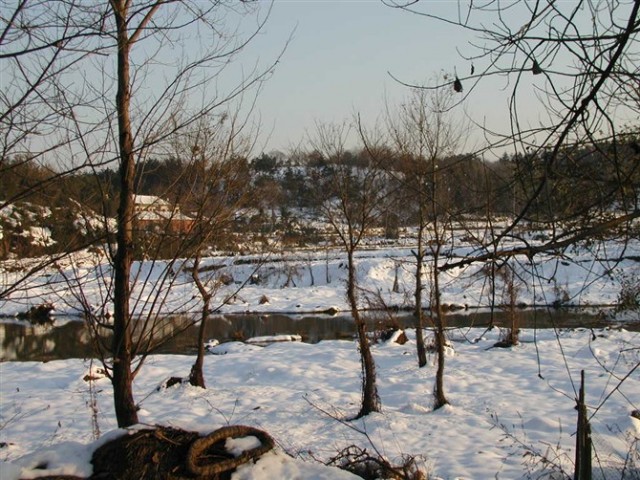1111.jpg