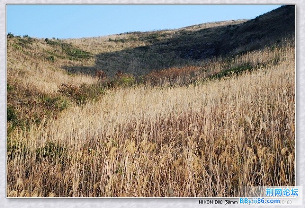 上堡山35.jpg