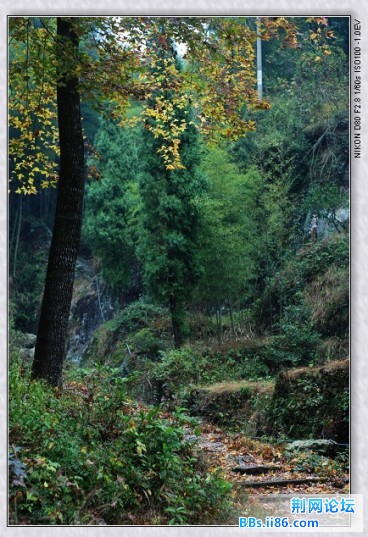 nEO_IMG_DSC_8367.jpg