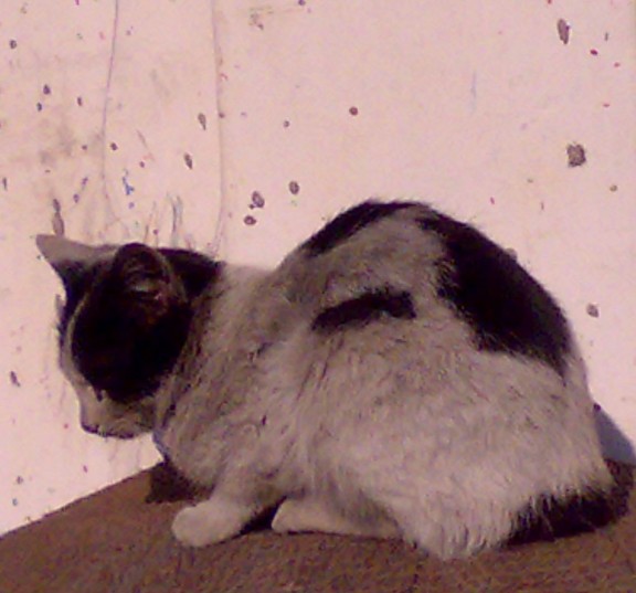 20091222035.jpg