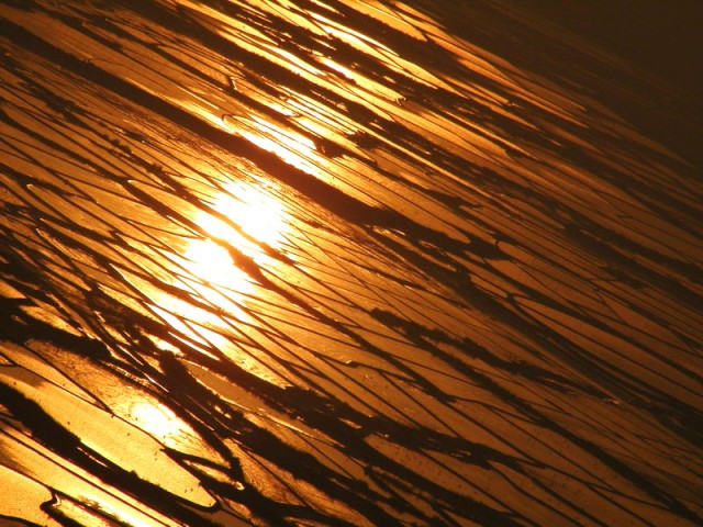 DSCF8072.JPG
