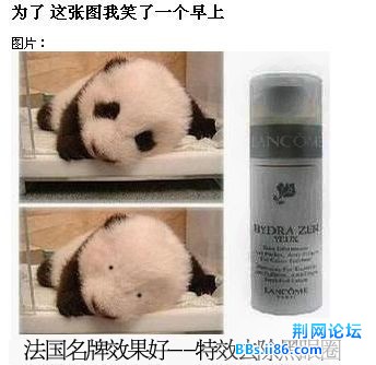 这个笑死我了- -