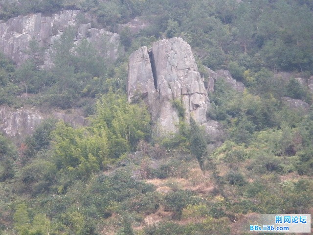 P1020091.JPG