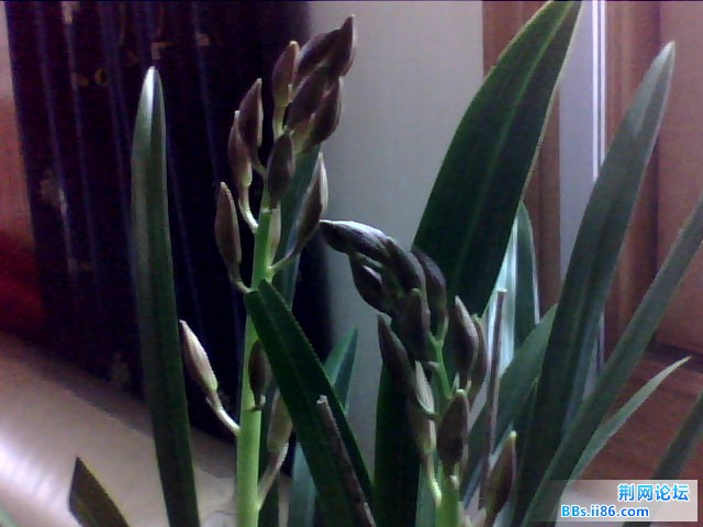 PIC_5676.jpg