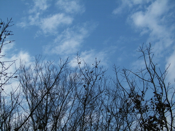 DSCF9324.JPG
