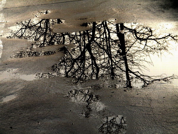 DSCF9362.JPG