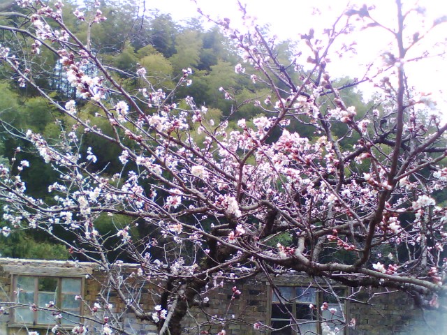 照片2010 104.jpg