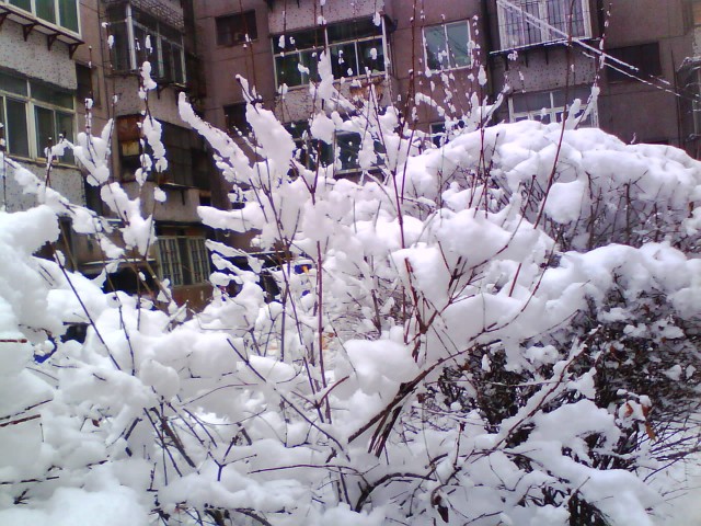 10-3-15雪景 020.jpg