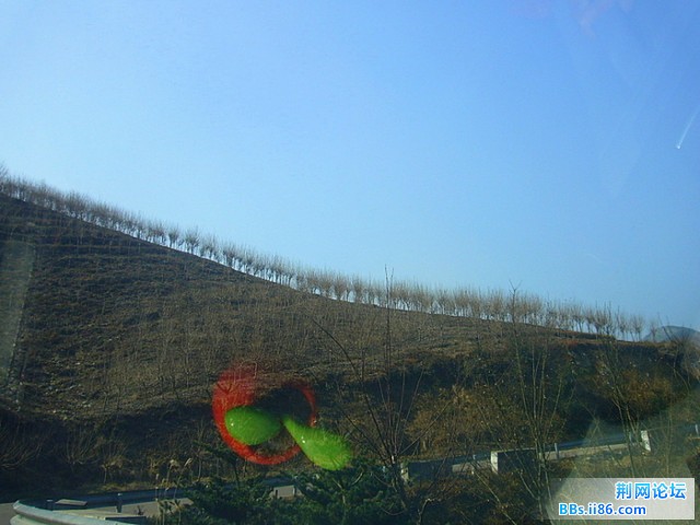 P1120029.JPG