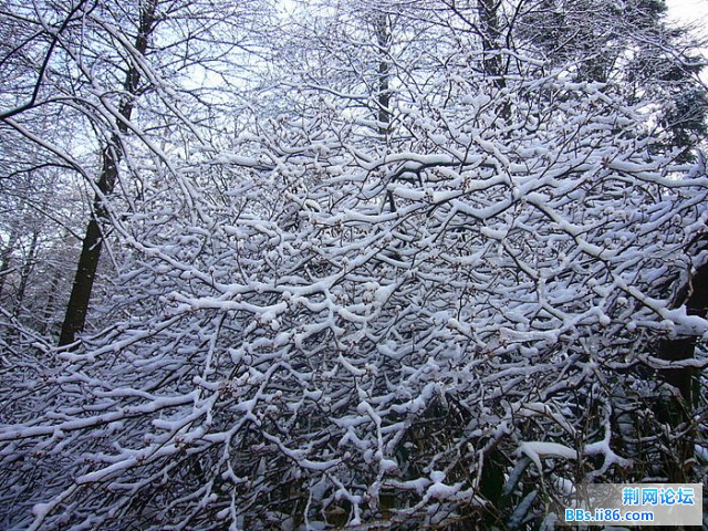 P1120110.JPG
