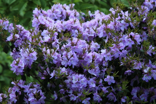 BI0E9857.JPG