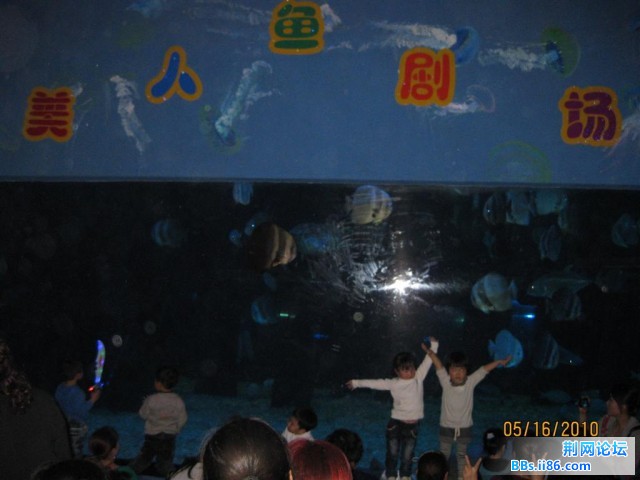IMG_8940.JPG