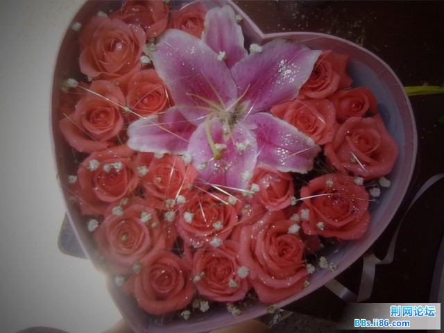 201008161232_副本.jpg
