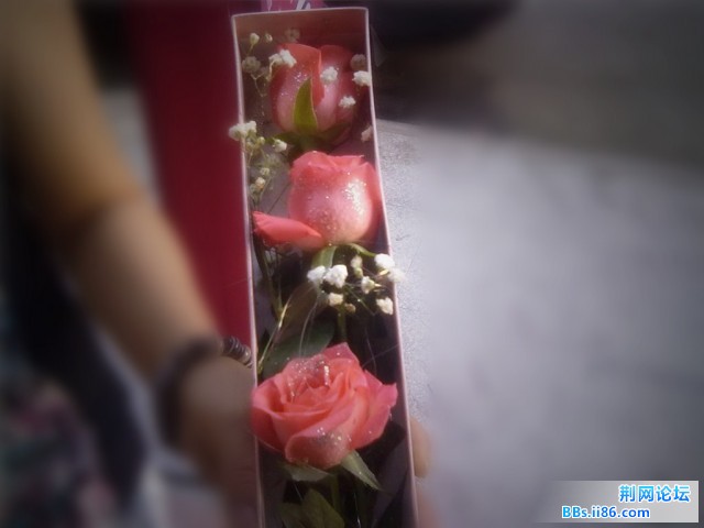 201008151228_副本.jpg