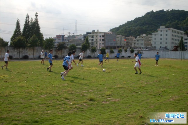 SDC10005.JPG