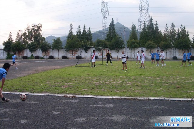 SDC10061.JPG
