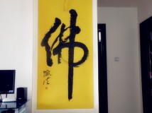 新手上路------求保护伞！
