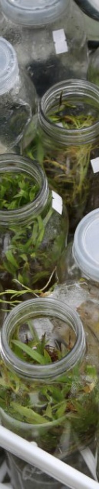 石门后山试拍