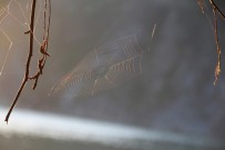 荆镇随拍1）