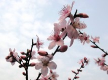 2013年3月10踏春