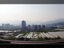 手机照片