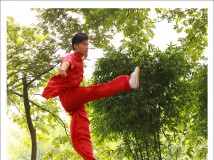 雁荡山武校  姚必强武术动选录