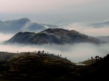 云雾茗岙