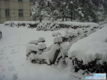 下雪了哇~\(≧▽≦)/~啦啦啦