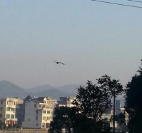 美丽乡村