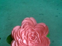山茶花