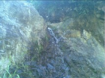泉水