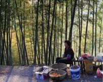 临海茶辽红枫古道