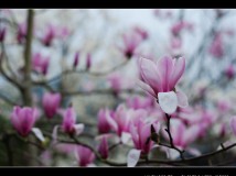 早春