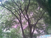 我就爱这感觉..!