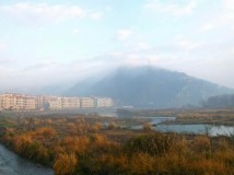 大荆“壁纸” 手机拍的