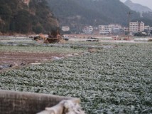 沸腾的溪水