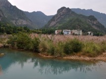 秋天的小景