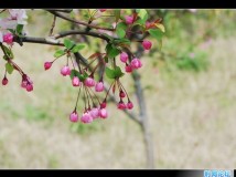春光无限，一起外拍！