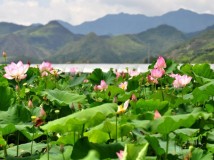 环浙自驾游