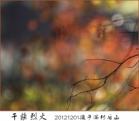 干柴烈火