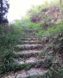 早晨走过的路